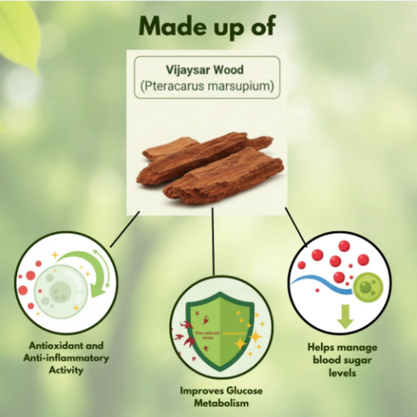 Premium Herbal Vijaysar Wooden Tumbler For Blood Sugar Support